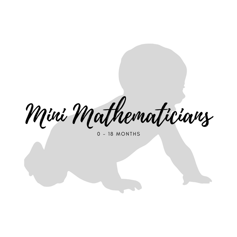 Mini Mathematicians (0-18 months)